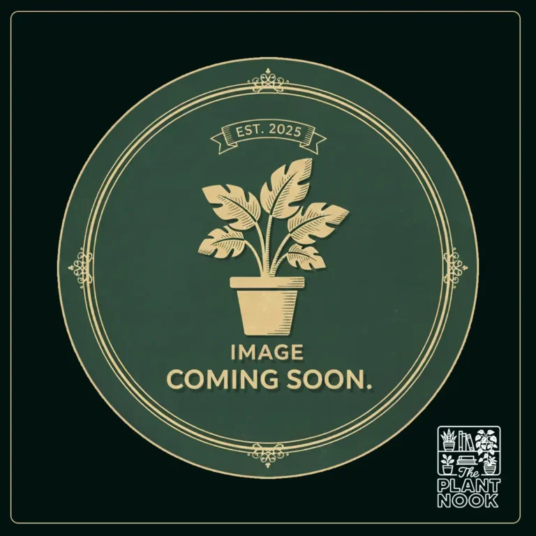 plant image coming soon